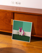 C'è un coniglio nella mia stanza