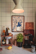 The cat is in the sac