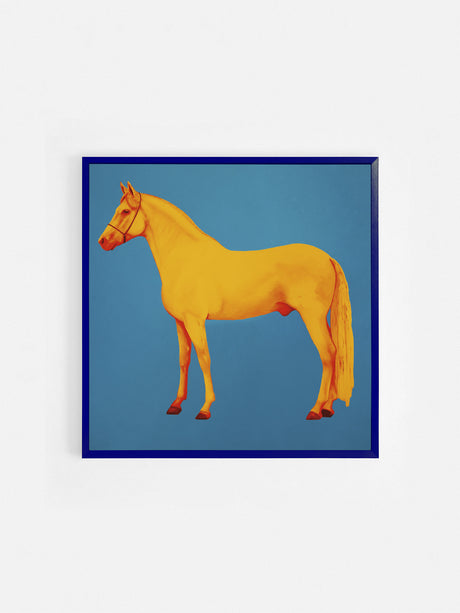 C'è un cavallo nella mia stanza