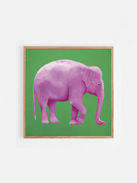 C'è un elefante nella mia stanza