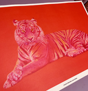 C'è una tigre nella mia stanza