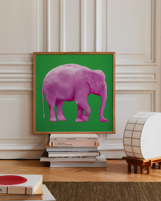 C'è un elefante nella mia stanza