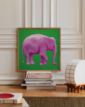 C'è un elefante nella mia stanza