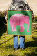 Animal Replublic