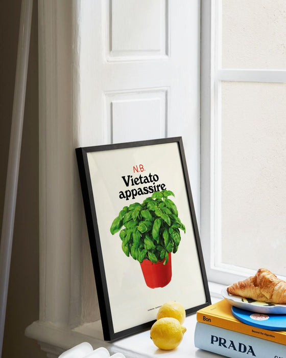 N.B. Vietato appassire - piccolo